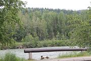 70 - Jasper to Sun Peaks - IMG_1318